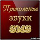 100 SMS   