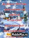 NewYearCountdown