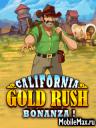 California Gold Rush Bonanza!