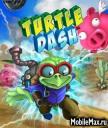 Turtle Dash