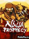 Ninja Prophecy