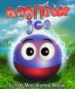 Magnetic Joe