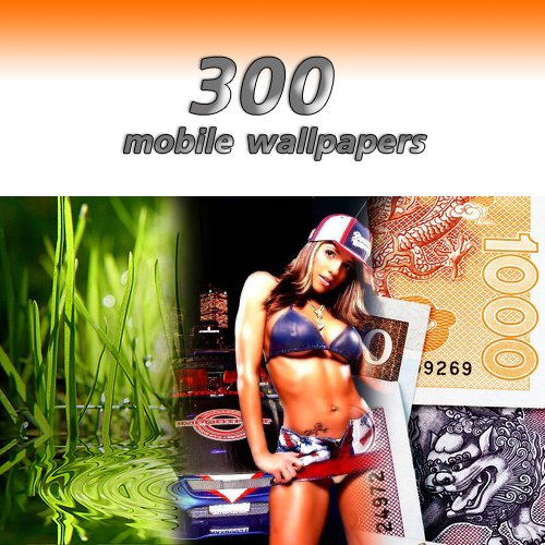 300 �������� 240�320