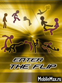 Enter The Flip