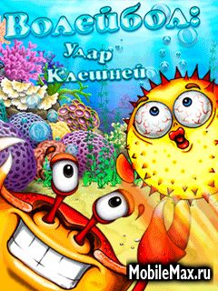 ��������: ���� �������
