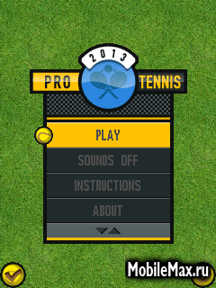 Pro Tennis 2013